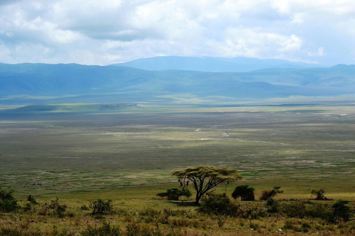 TANZANIA CONFORT SAFARI