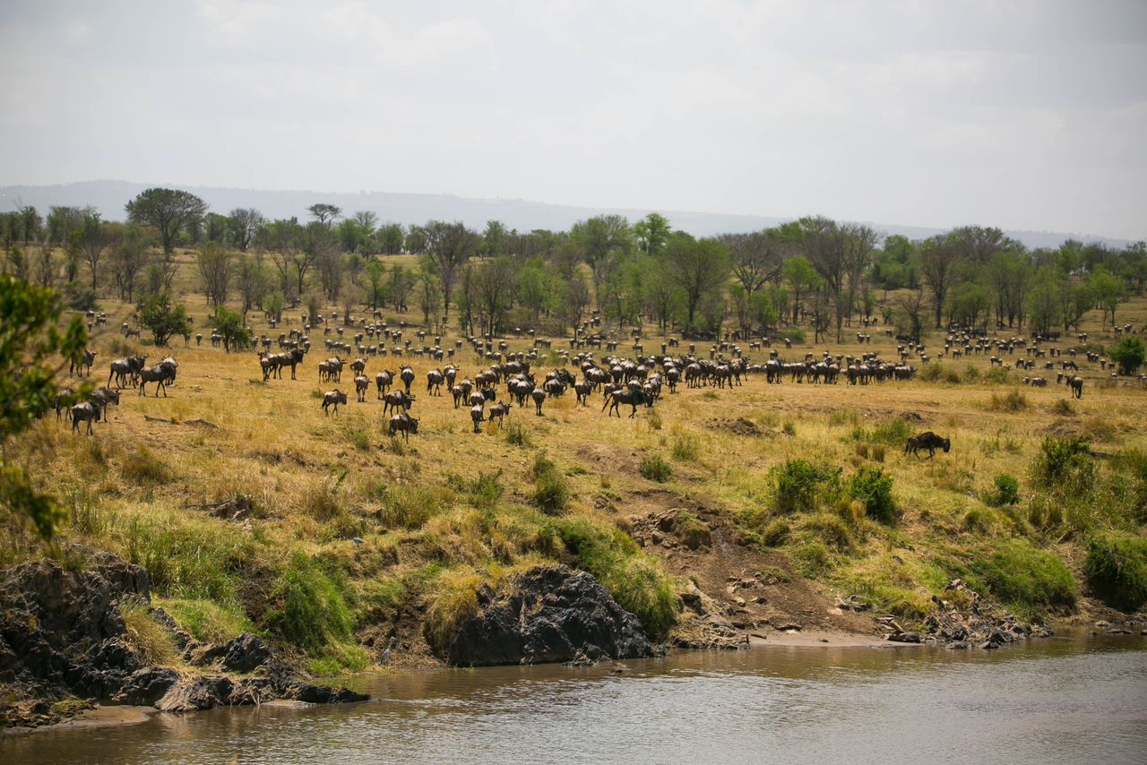 Maasai African Travel